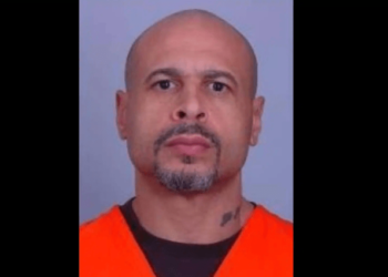 Minnesota sex offender sentenced to federal prison in recent gun crime – Law Officer